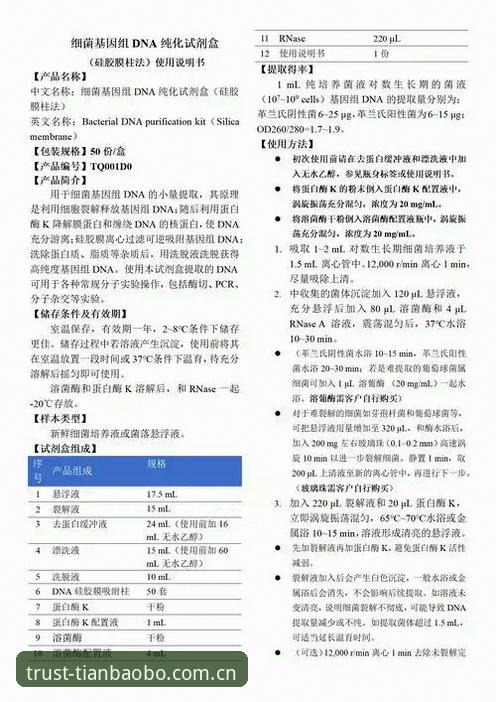 如何高效使用天宝博官方入口？资深技术评测员的实用技巧分享